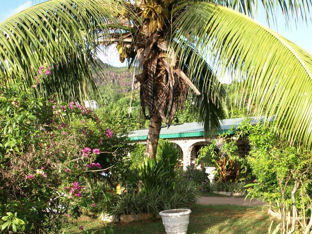 نزل كاست آواي Pointe Au Sel المظهر الخارجي الصورة